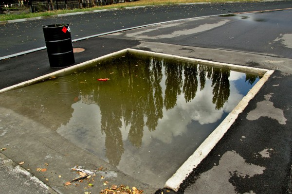 11703145_964495506907053_3127064344711972514_n