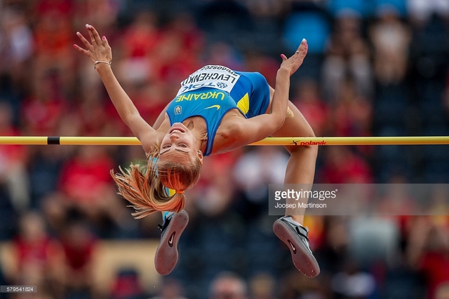 levchenko2016